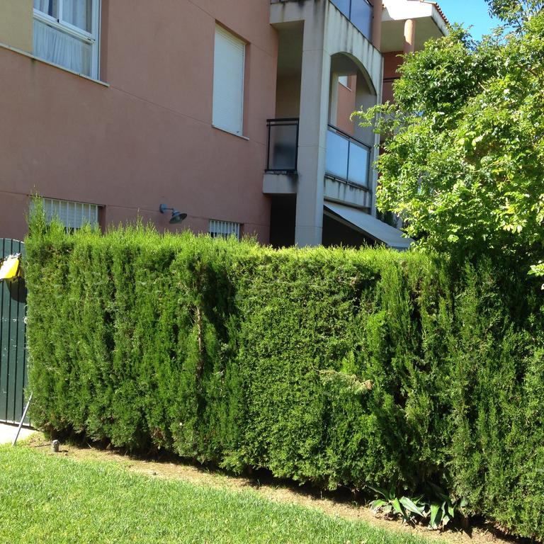 Divi Apartments Costa Ballena Exteriér fotografie
